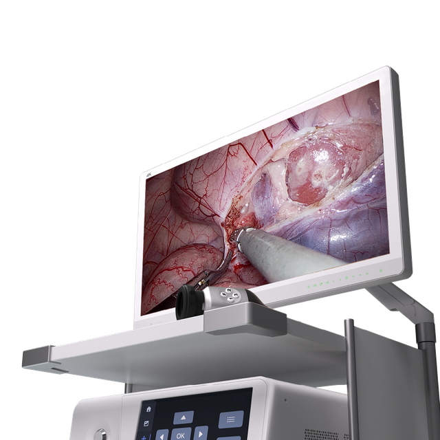Chameleon 4K VL Endoscope System